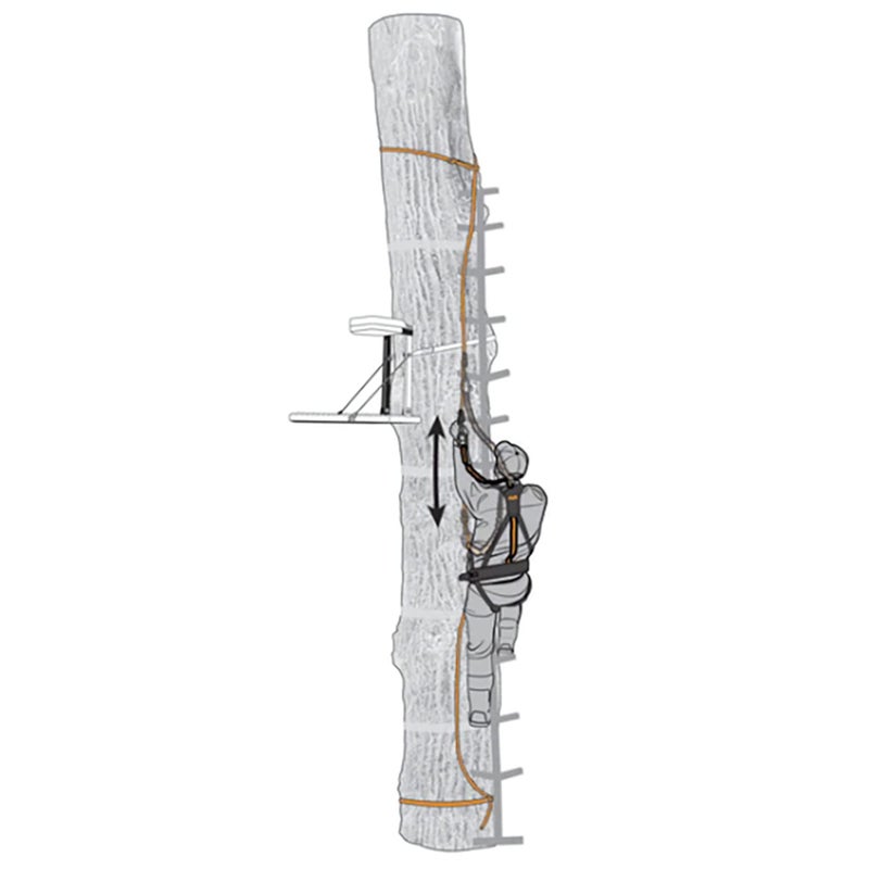 Muddy Safe Line 30 Inch (3-Pack) - Image 2